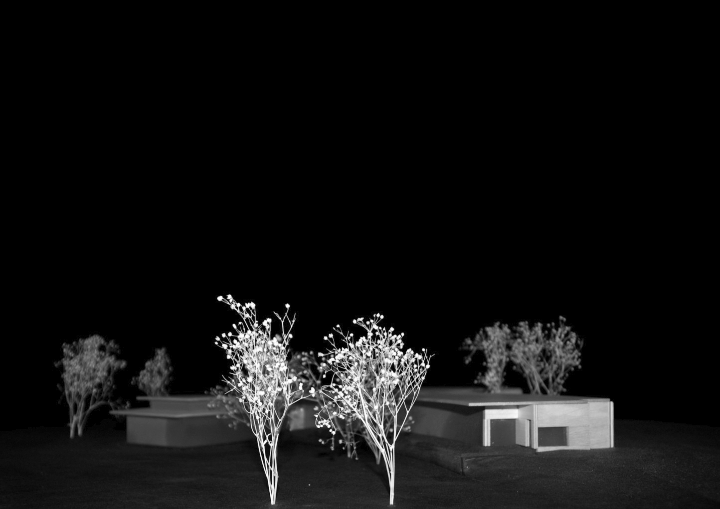 models 1