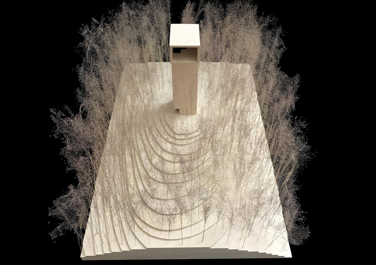 models 1