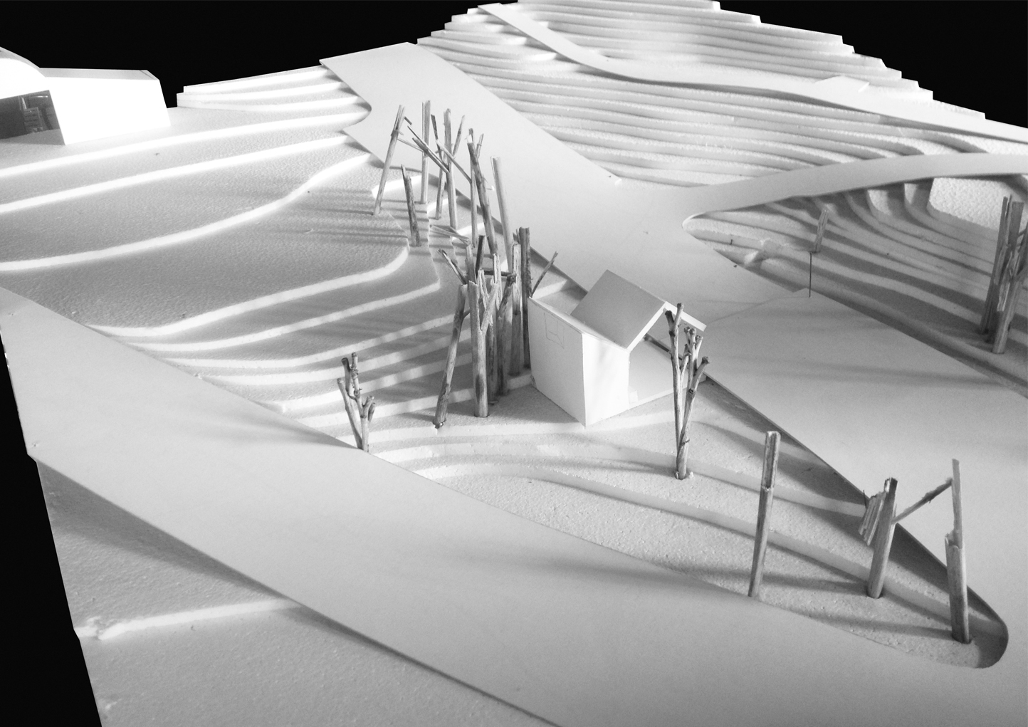 models 1
