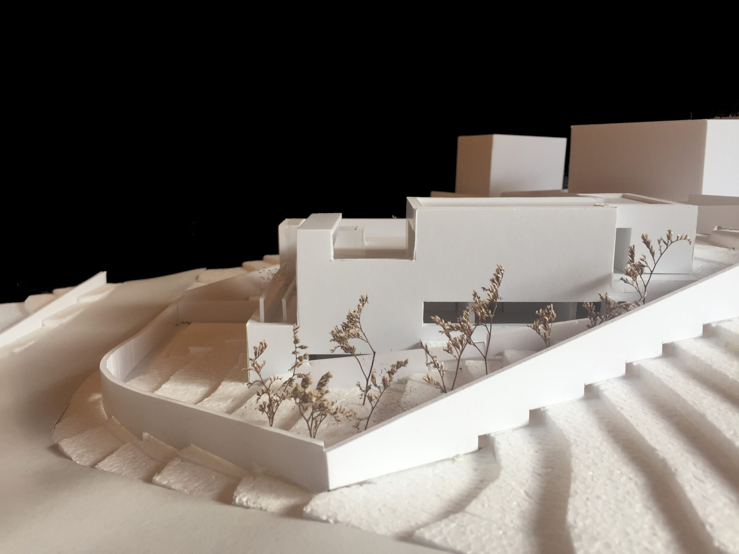models 5