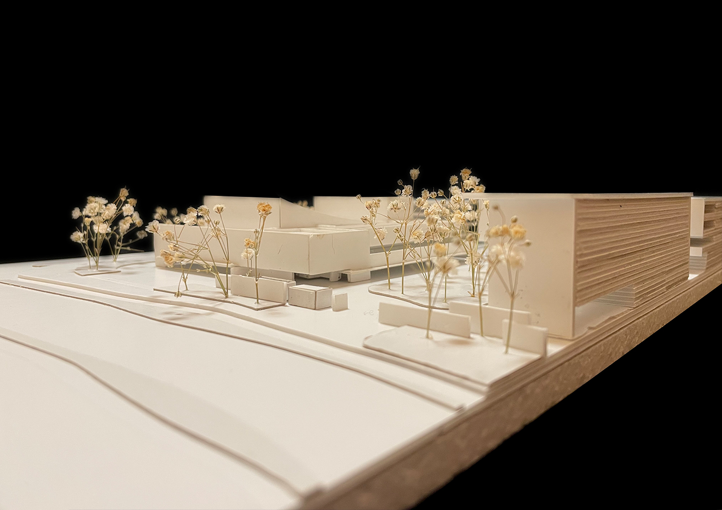 models 6