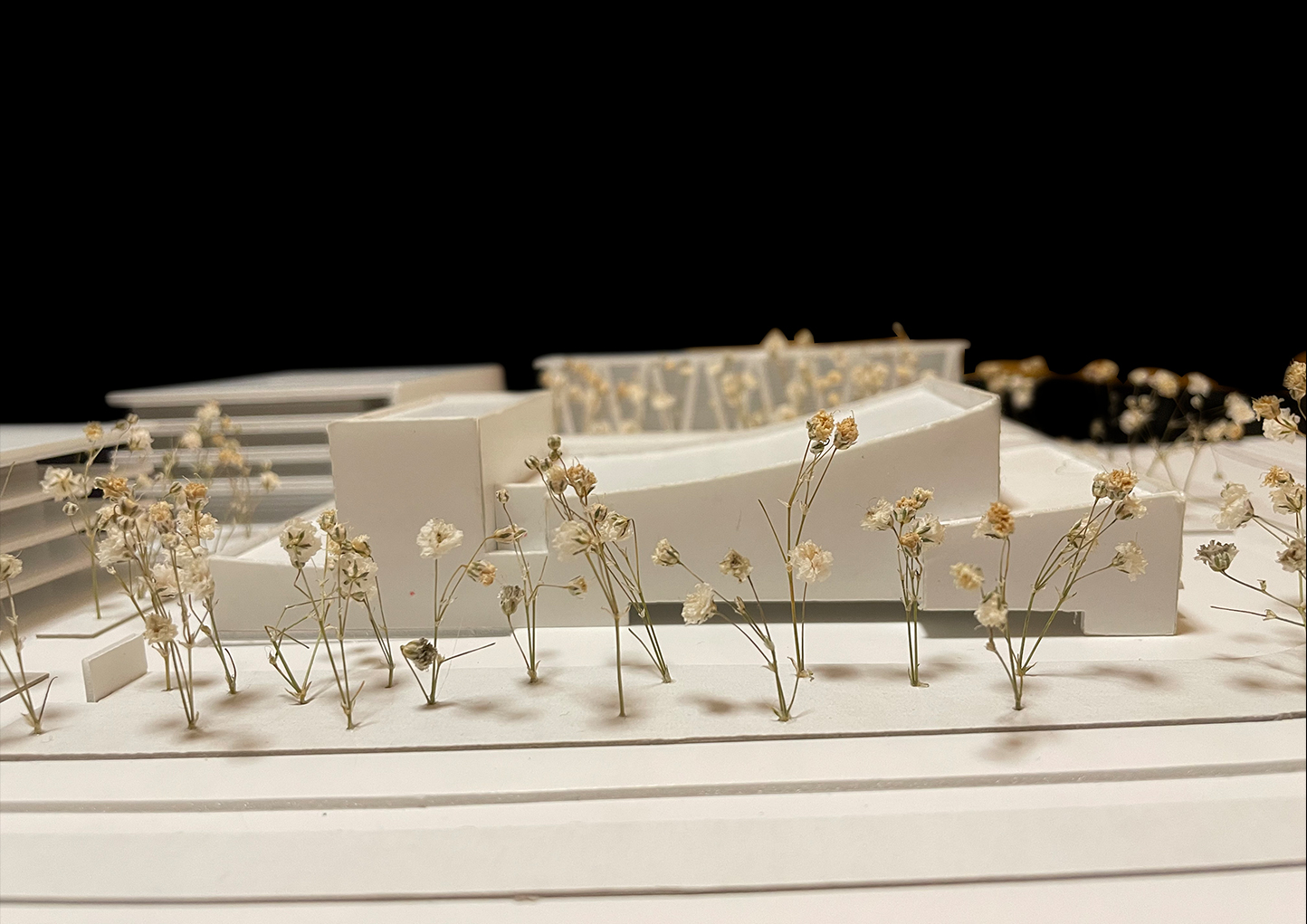 models 8